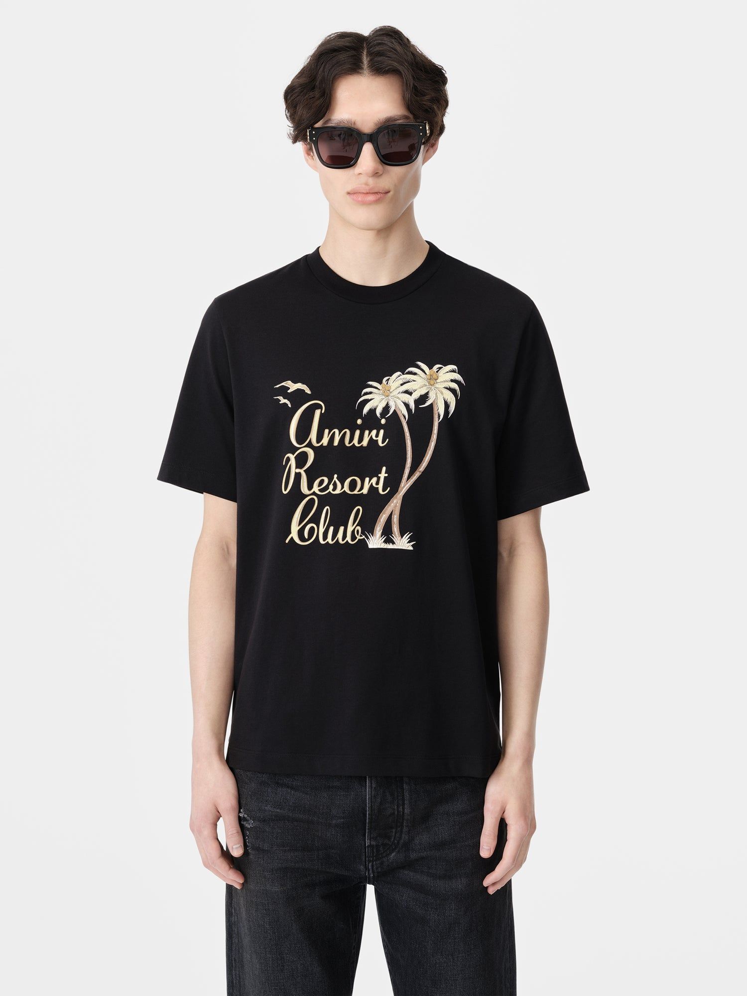 Amiri Twisted Palms Tee Tişört Erkek Siyah | KGP674058