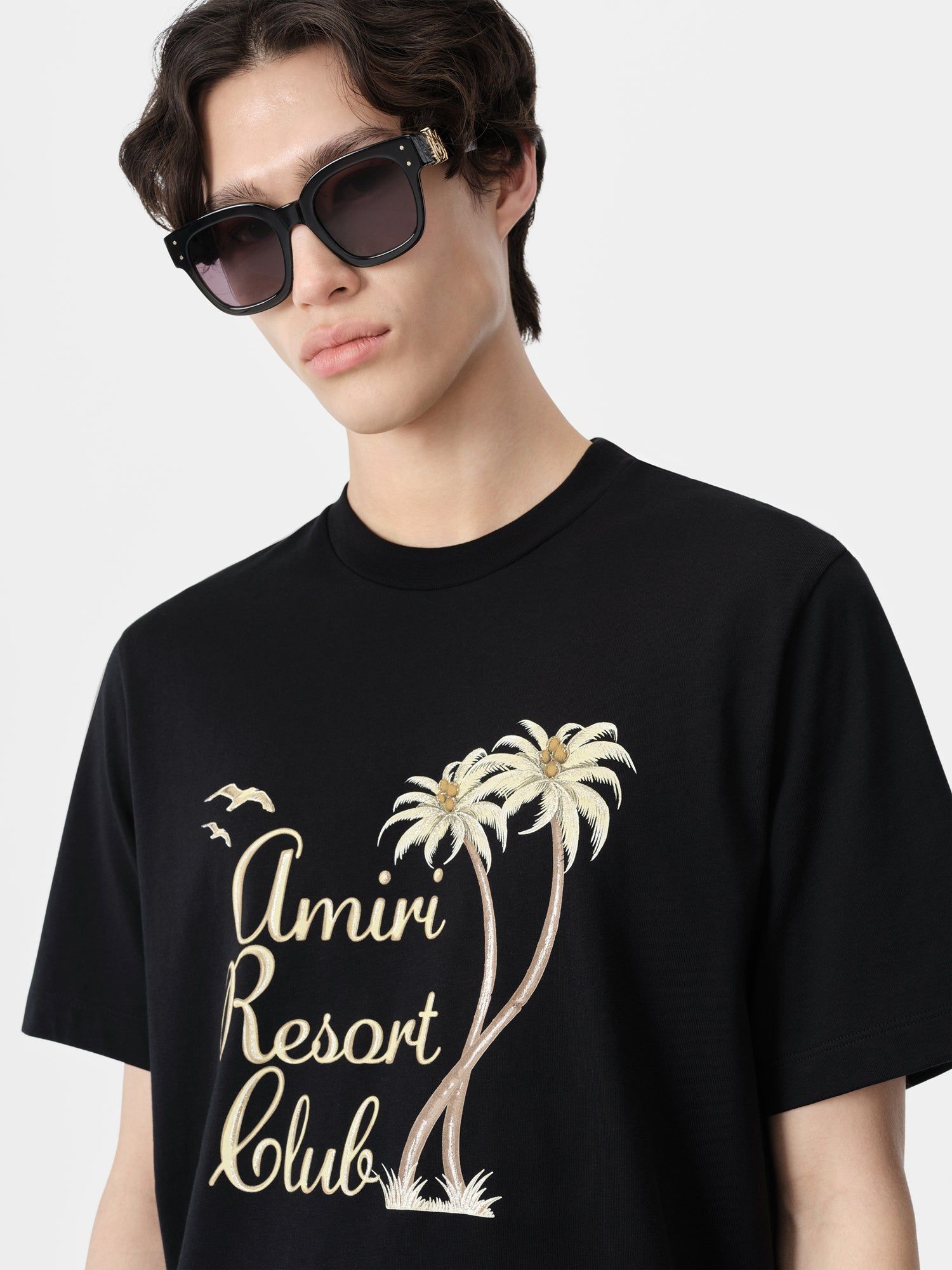 Amiri Twisted Palms Tee Tişört Erkek Siyah | KGP674058